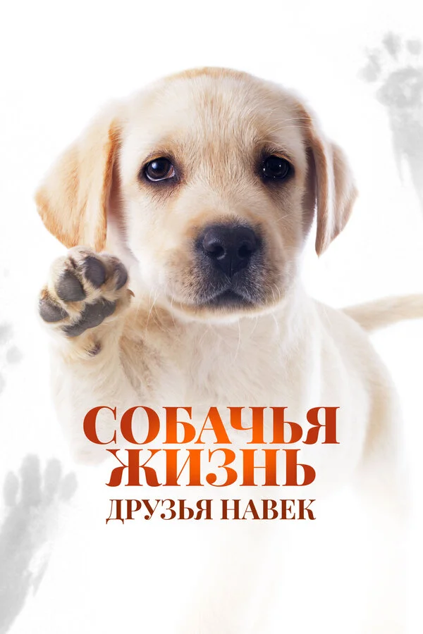 Собачья жизнь: Друзья навек - постер